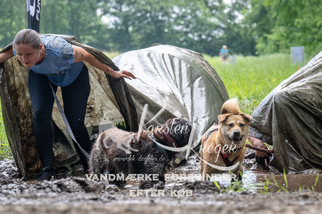 1109_ZZ91595 | kk-dogfotos