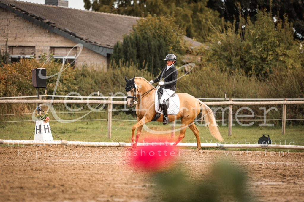 17.SoDrM00122 | Leoni Ertmer Photography - Realisiert mit Pictrs.com