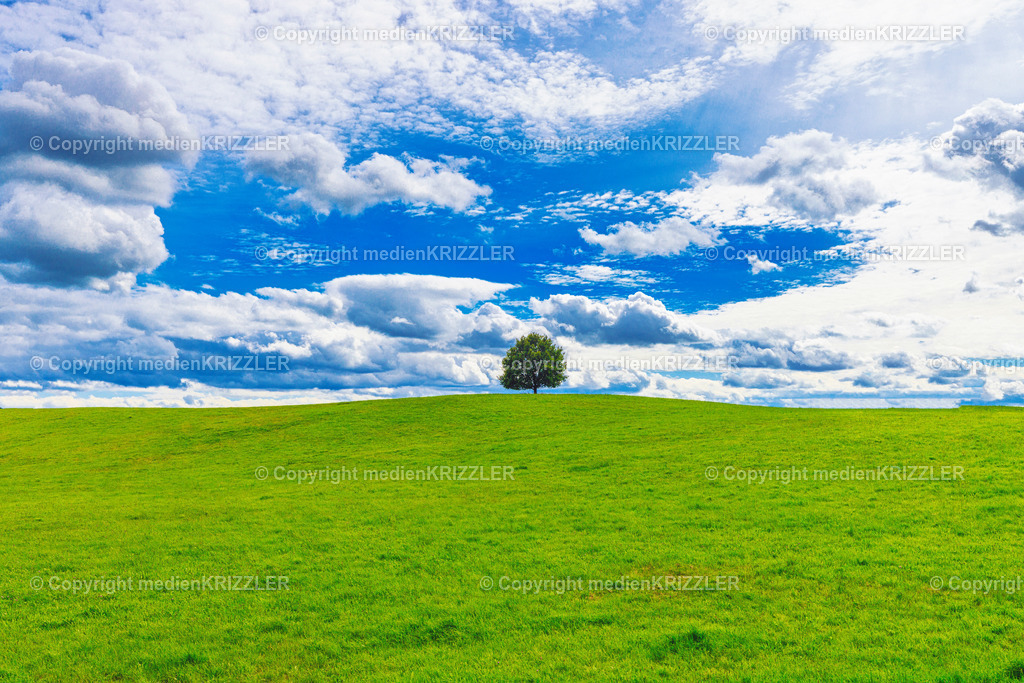 _J3A8559 | medienkrizzler - Realisiert mit Pictrs.com