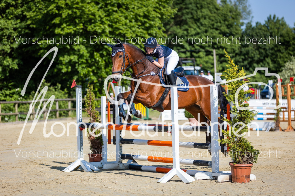 Donop24-ASpr-068 | MomenTaufnahmen Pferdesportfotos