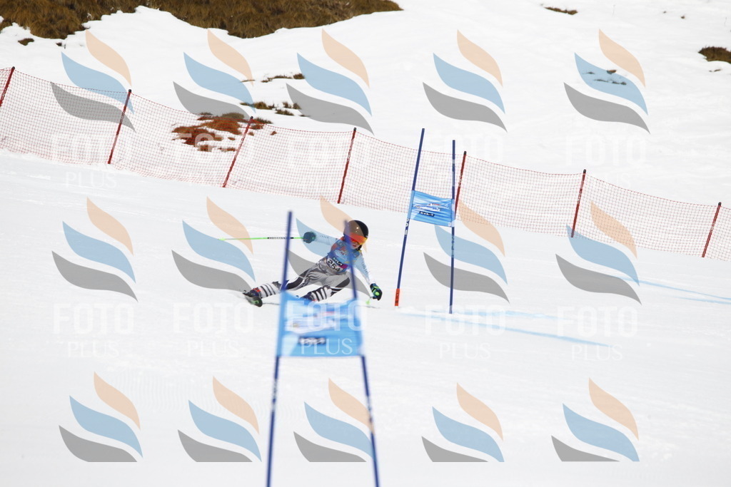 _U3G6377 | holidayphoto