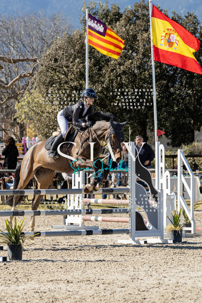 IMG_0714 | s-jay-photography - Realisiert mit Pictrs.com