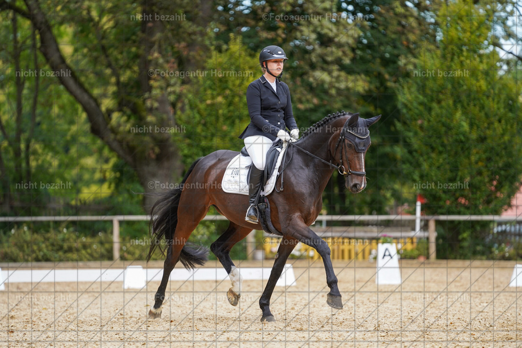 20231007-SN_00518 | Diessen am Ammersee, 2023, Dressur- und Springturnier, Reitsport, Turnierfotografie, Pferdebilder, Reitbilder, Turnierfotografen Bayern, Fotoagentur Herrmann