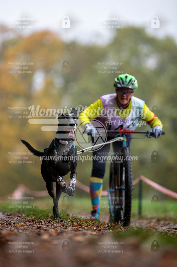 DBT_DAKM_SA_4_11_2023_DS1-55 | mompixphotography