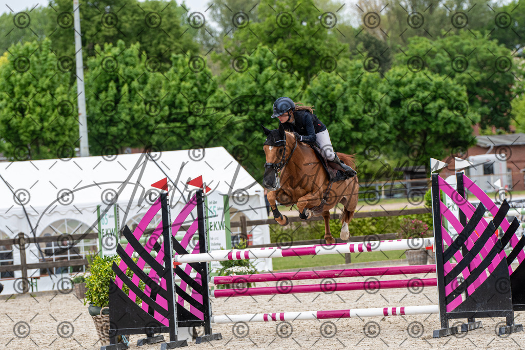 KPT_8301 | andre_photographic