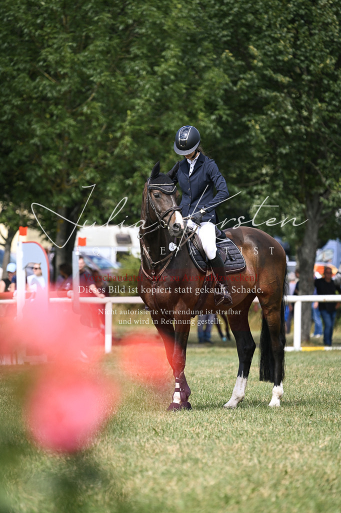 DSC_0680 | Pferde- und Turnierfotografie in Westsachsen. Pferdeportraits, Auftragszeichnungen und intuitive Kunst.