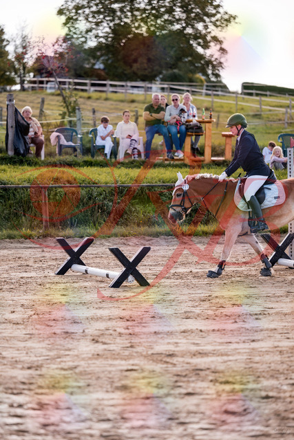 2026_10_03_Siefer-Hof_145457_Z81_35215598 | Professionelle Reitsport-, Turnier- und Eventfotografie von Robert Broda. Galerien mit ausgewählten und bearbeiteten Bildern direkt online ansehen und bestellen.
