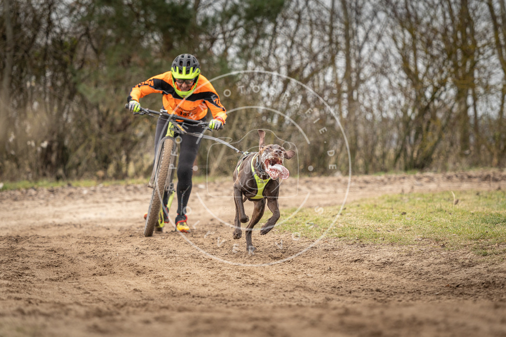 Pfotenfotografie_DV3A9568 | Hundefotografie, Tierfotograf, Pfotenfotografie, Fotoshooting Hund, Hunde Portrait, Hundesport, Hundeportraits, Heideshooting, Hunde, Sportfotograf, Hundefotograf, Turnierhundsport, THS,  - Realisiert mit Pictrs.com