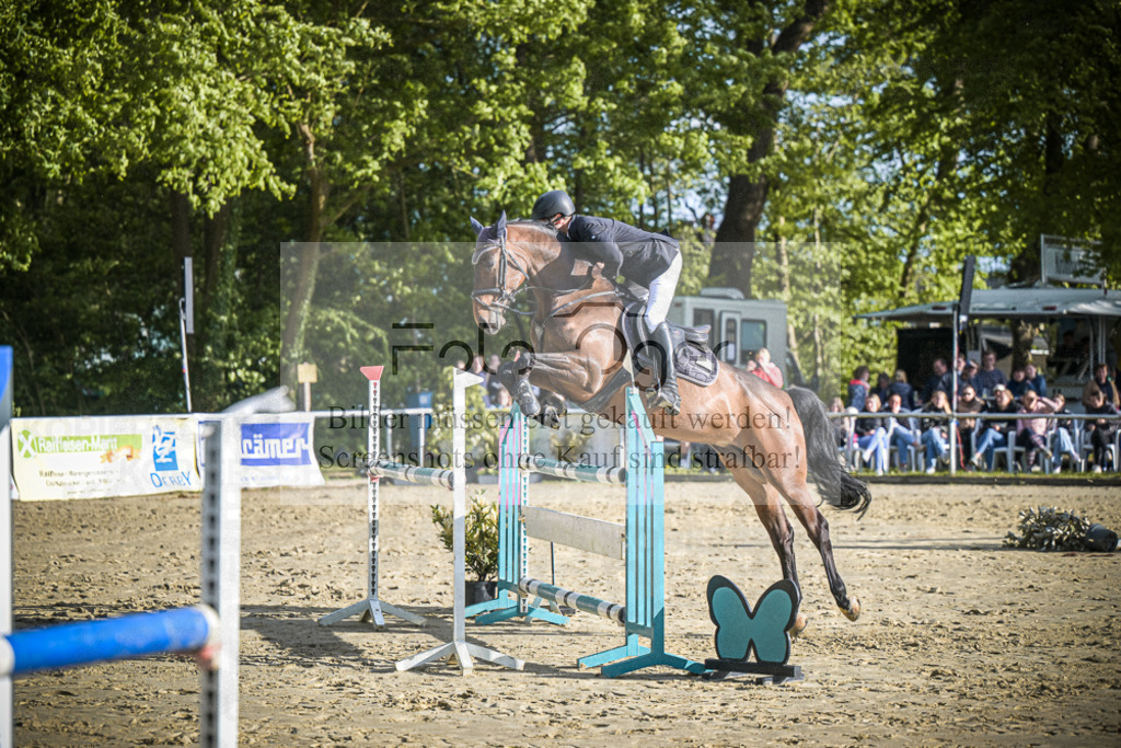 DOS_3684 | Entdecke hochwertige Reitturnierfotos von Foto Oger. Professionell, emotional und authentisch – jetzt Lieblingsmomente im Shop bestellen.Deutschlandweite Turnierfotografie. - Realisiert mit Pictrs.com