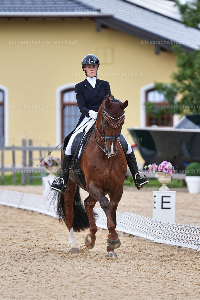 8_1-085-Klasse S_  -Marixx-4085 | working equitationturnier fotograf videograf stoibphotography marixx film working equitation deutschland reitsport turnierfotografie eventfotografie equestrian events