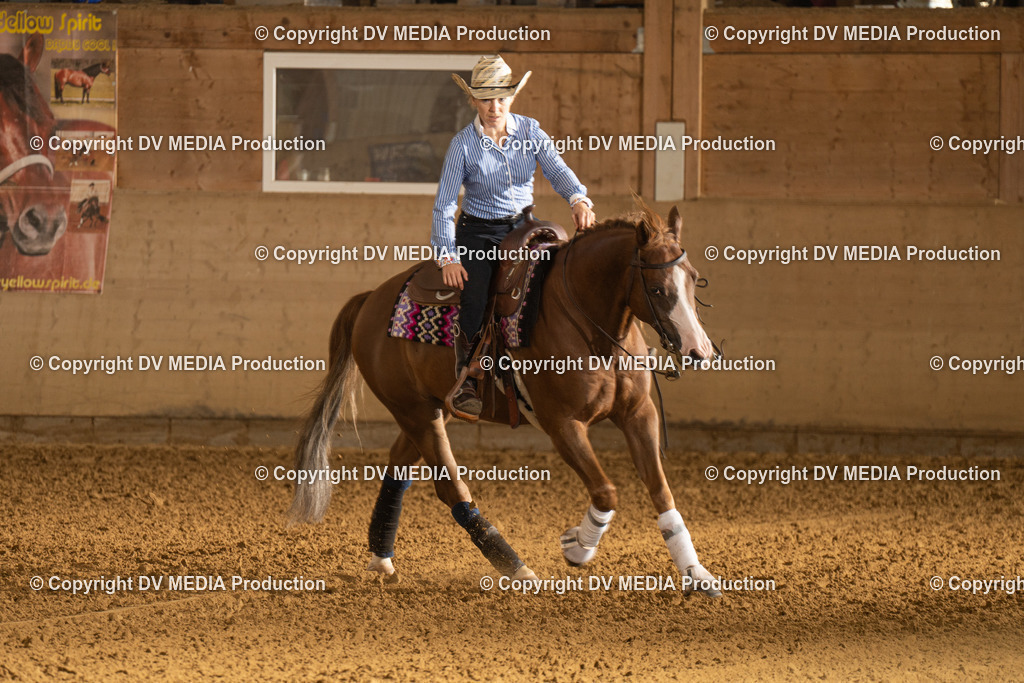 LAU00634 | dv-media-shop - Realisiert mit Pictrs.com