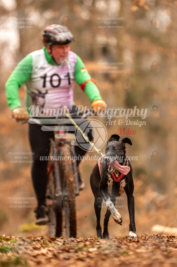 AKM_ST_2023_SAM_Bike-105 | PayLife