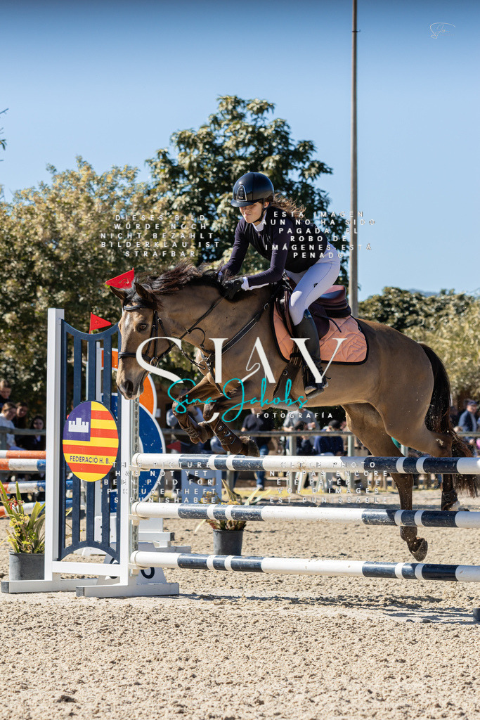 IMG_0252 | s-jay-photography - Realisiert mit Pictrs.com