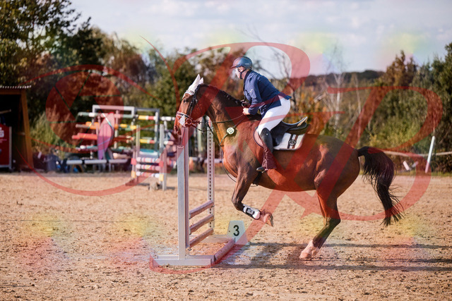 2026_10_03_Siefer-Hof_160627_Z81_87962862 | Professionelle Reitsport-, Turnier- und Eventfotografie von Robert Broda. Galerien mit ausgewählten und bearbeiteten Bildern direkt online ansehen und bestellen.