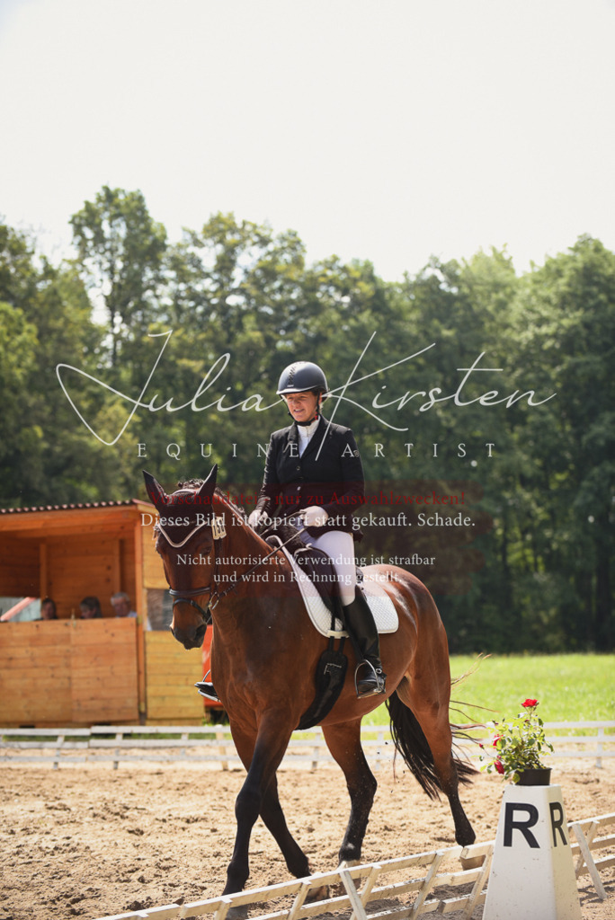 DSC_0774 | Pferde- und Turnierfotografie in Westsachsen. Pferdeportraits, Auftragszeichnungen und intuitive Kunst.