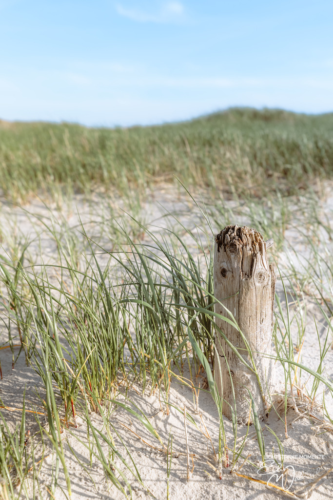 20240506-185034 NORDSEE SPO _100-1 | Herzlich willkommen auf meiner Seite! Ich bin Elke Wallnisch, Deine Fotografin für lichtstarke Momente. Der Name steht für alles, was mich mit der Fotografie verbindet: Das Licht und seine machtvolle Wirkung auf eine Situation oder unsere Stimmung - Realisiert mit Pictrs.com
