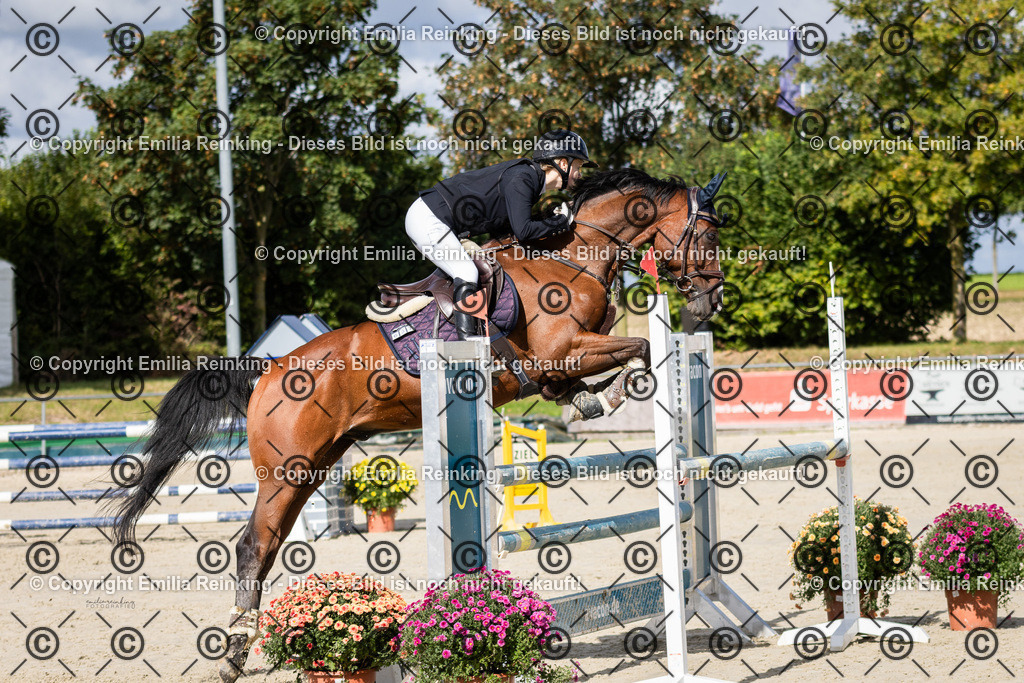 CL5A1511 | Emilia Reinking Fotografie - Realisiert mit Pictrs.com