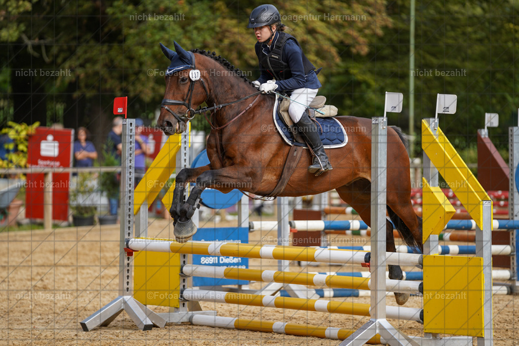 20231008-SN_01256 | Diessen am Ammersee, 2023, Dressur- und Springturnier, Reitsport, Turnierfotografie, Pferdebilder, Reitbilder, Turnierfotografen Bayern, Fotoagentur Herrmann