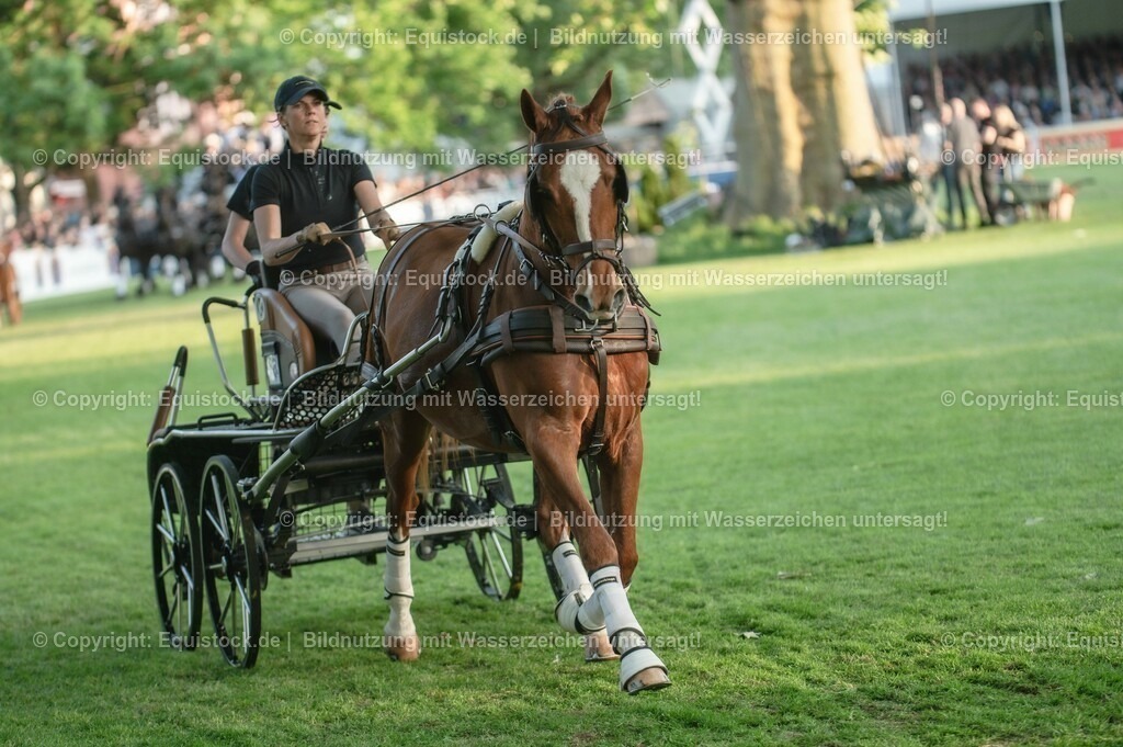 20230526_Pferdenacht_0169 | equistock