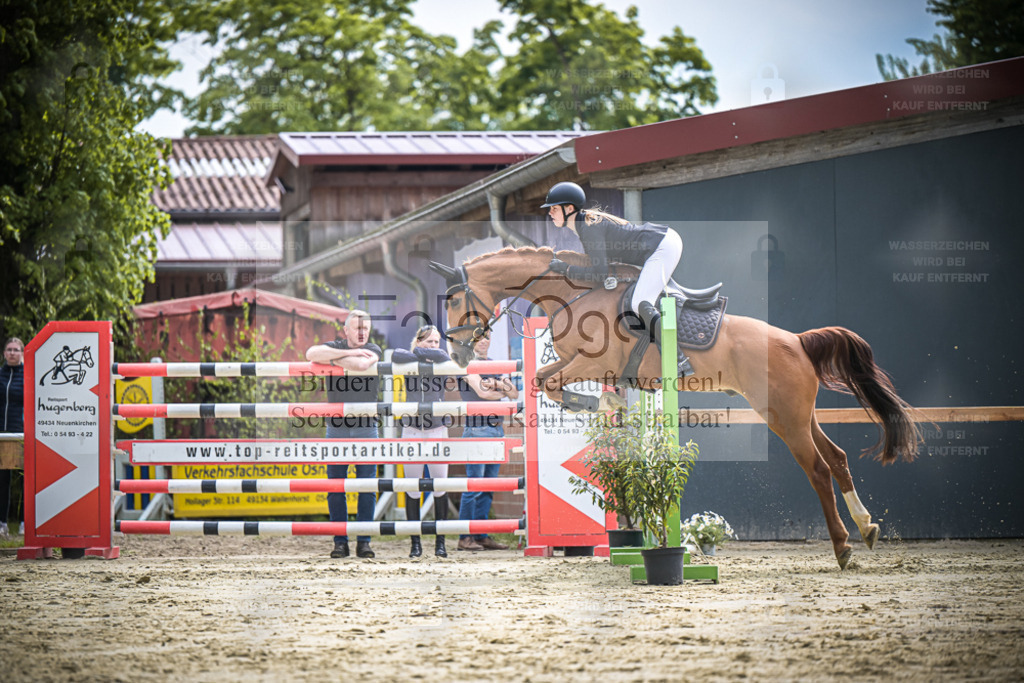 DOS_1120 | Entdecke hochwertige Reitturnierfotos von Foto Oger. Professionell, emotional und authentisch – jetzt Lieblingsmomente im Shop bestellen. - Realisiert mit Pictrs.com