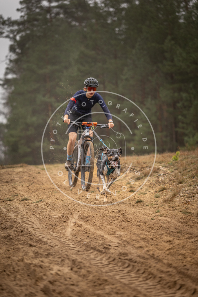 Pfotenfotografie_DV3A2801 | Hundefotografie, Tierfotograf, Pfotenfotografie, Fotoshooting Hund, Hunde Portrait, Hundesport, Hundeportraits, Heideshooting, Hunde, Sportfotograf, Hundefotograf, Turnierhundsport, THS,  - Realisiert mit Pictrs.com