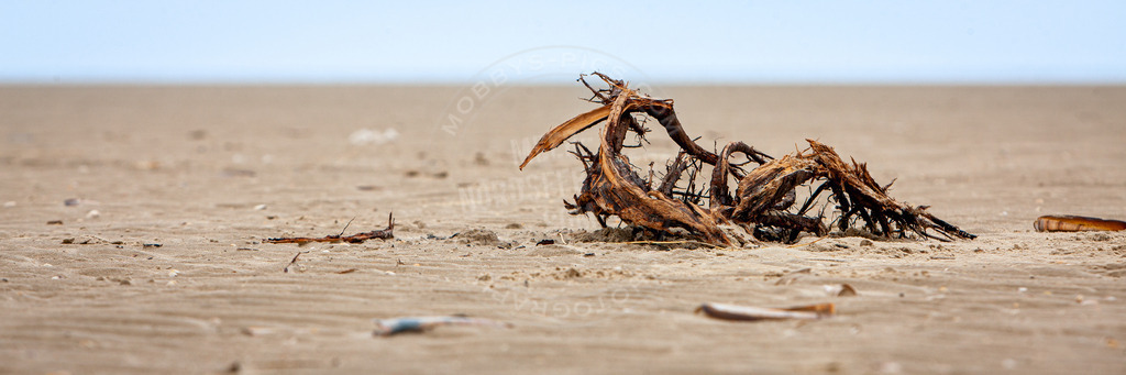 Astgeflecht | Astgeflecht am Strand von SPO