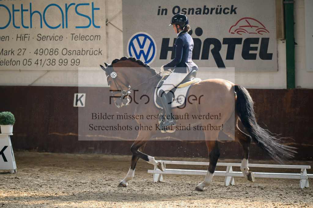Reitturnier Voxtrup | Entdecke hochwertige Reitturnierfotos von Foto Oger. Professionell, emotional und authentisch – jetzt Lieblingsmomente im Shop bestellen.Deutschlandweite Turnierfotografie. - Realisiert mit Pictrs.com