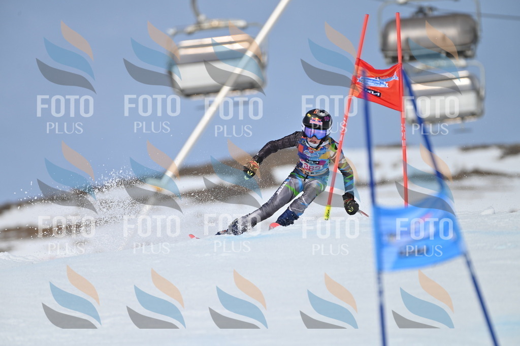 BGV_4205 | holidayphoto