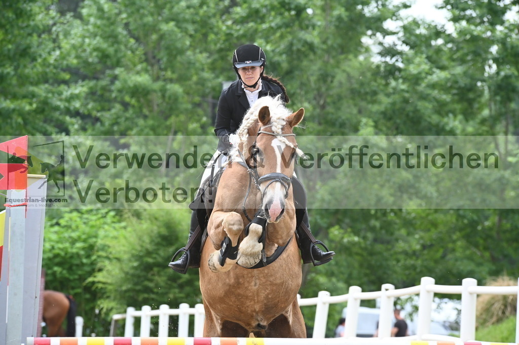 DSC_8177 | equestrian-live-com