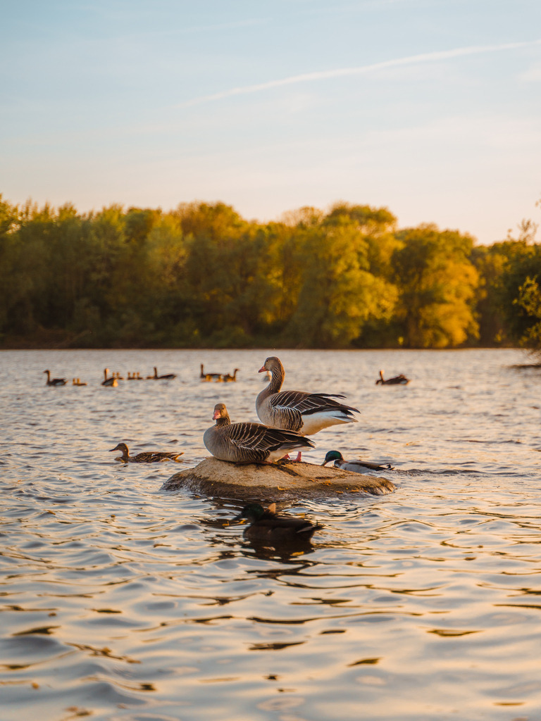 Ölpersee | Entdecke exklusive Fotokunst aus Braunschweig: Bildband, Leinwände, Postkarten, Kalender, digitale Downloads & Bildlizenzen. Jetzt im offiziellen Beautiful Braunschweig Shop! - Realisiert mit Pictrs.com