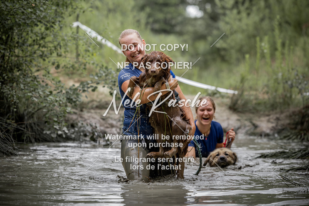 nelerasche_so0930-1000_43 | nelerasche