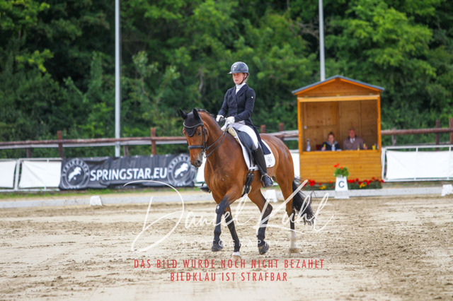 DKP47964 | Turnierfotos kaufen im Webshop von Daniel Kuhl Photography – entdecke professionelle Reitsportfotos aus Turnieren & Events. Hochwertige Turnierbilder online bestellen & sichern. Jetzt Fotos von Reitsportturnieren kaufen!