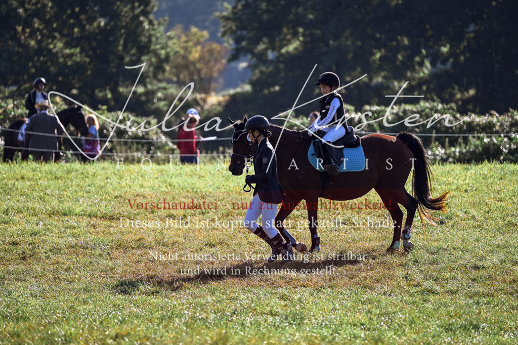 DSC_0283 | Pferde- und Turnierfotografie in Westsachsen. Pferdeportraits, Auftragszeichnungen und intuitive Kunst.