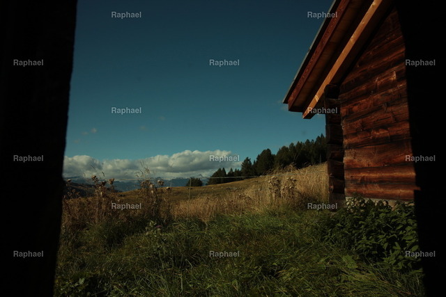 IMG_3573 | Raphael - Realisiert mit Pictrs.com