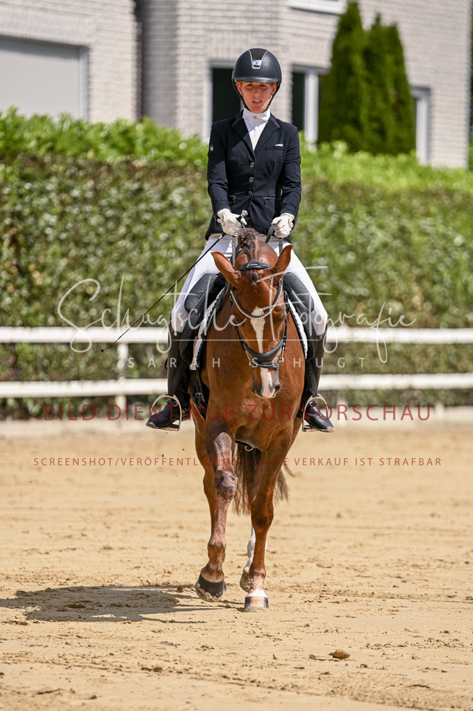 Schugtsche-Aluta25-48.Reitpferfdeprf.-80 | Schugtsche Fotografie - Realisiert mit Pictrs.com