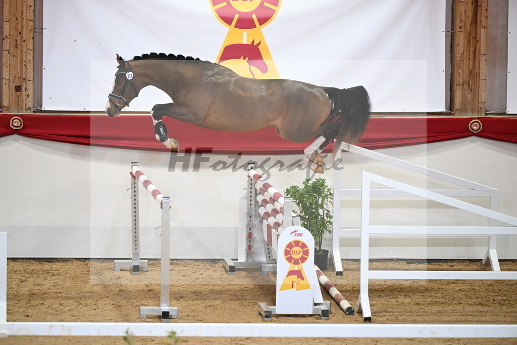 Kat.-Nr. 34 v. Oganero P_Masur_2251229 | hf-fotografie - Realizzato con Pictrs.com