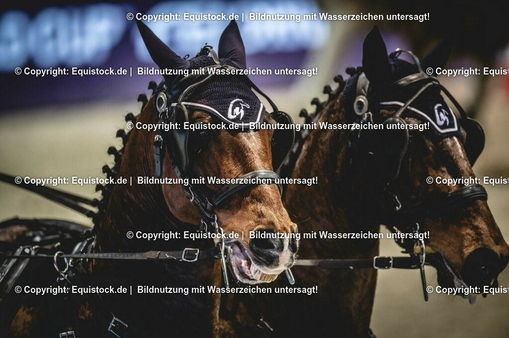 20240203_FEI-Driving-World-Cup_0012 | Foto: Thomas Hartig