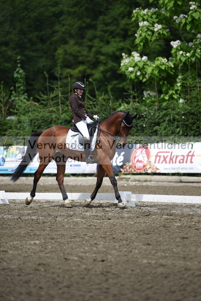 DSC_0883 | equestrian-live-com