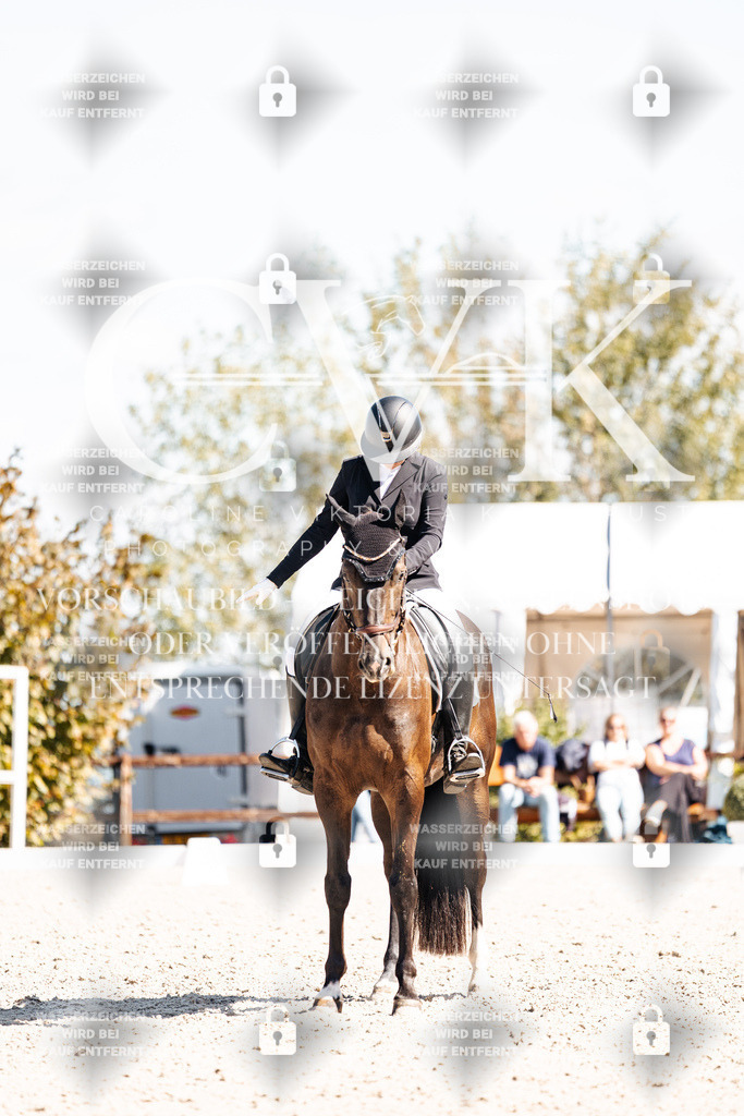 CK903507 | Turnierfotografie Pferdefotografie Trier Rheinland-Pfalz Pferdesport Reitsport Tierfotografie Sportfotografie Pferdevideo Pferdevideografie Equestrianvideography equestrianphotography  - Realisiert mit Pictrs.com