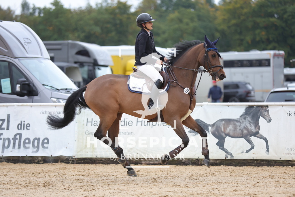 0P6A4482 | Willkommen bei Brunnmayr - Design & Fotografie – Ihrem Spezialisten für Reitturniere und Pferdeveranstaltungen in Oberösterreich, Salzburg und Bayern! Seit über 17 Jahren sind wir leidenschaftlich dabei.