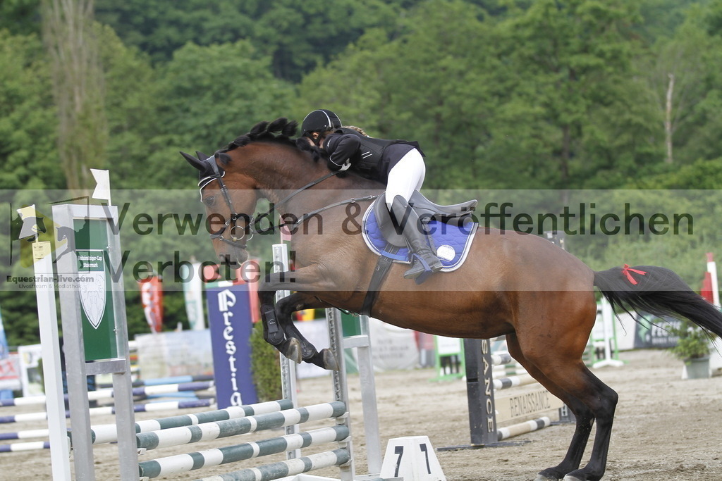 _MG_4489 | equestrian-live-com