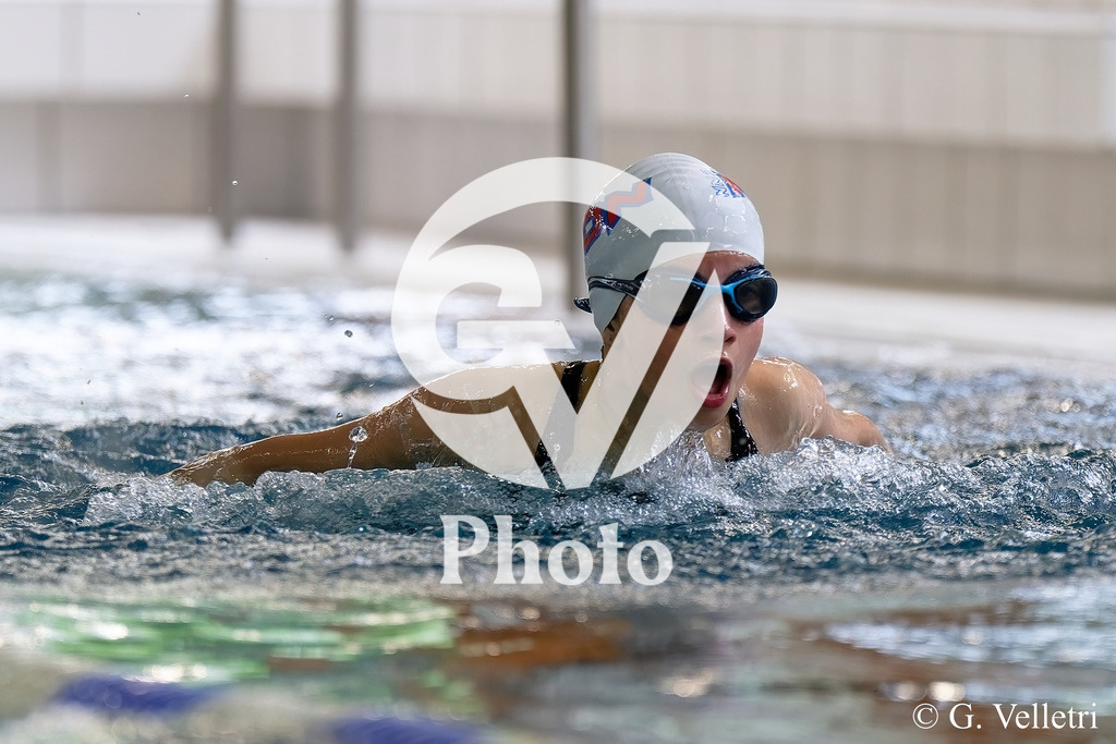 DSC_9601 | Velletri Photo