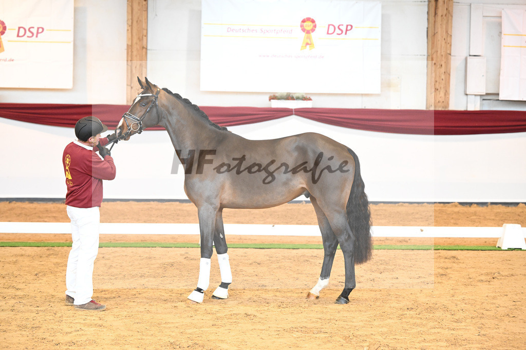 Kat-Nr. 61 v. Goldberg_Reglauer_66222002 | hf-fotografie - Realisiert mit Pictrs.com