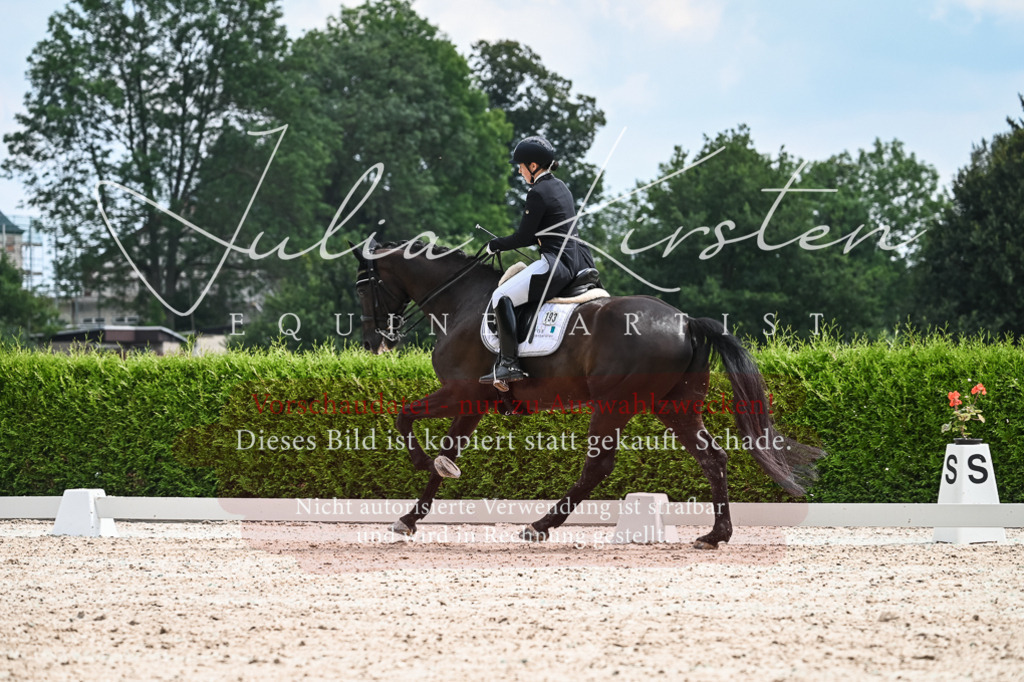 DSC_2529 | Pferde- und Turnierfotografie in Westsachsen. Pferdeportraits, Auftragszeichnungen und intuitive Kunst.