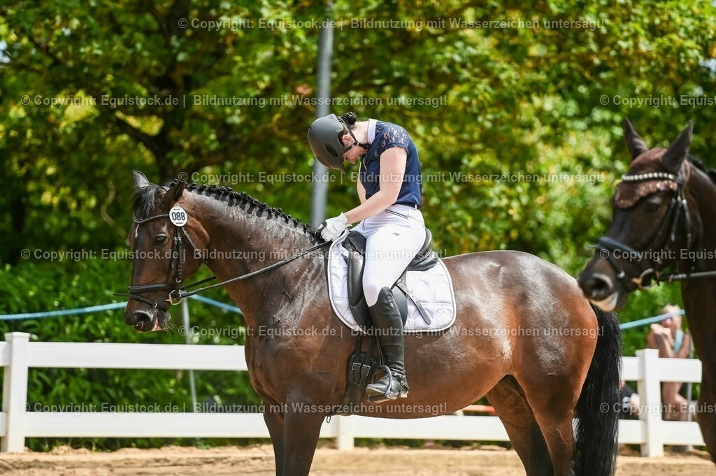 20230715_05_Dressurprüfung Kl.A++_0395 | equistock