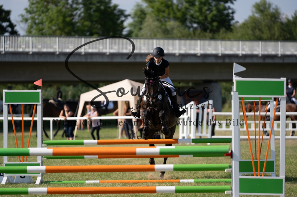 A7V00672 | Pferdefotograf