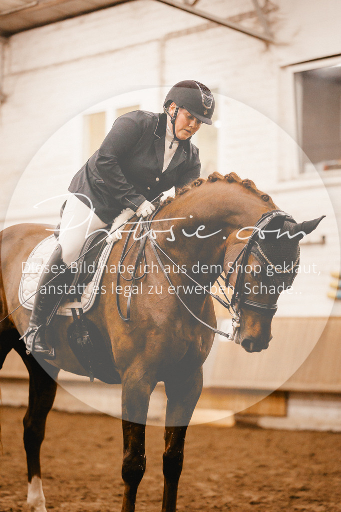 3I6A7132 | Stimmungsvolle Portraits und Reitsportfotografie im Ruhrgebiet und im Münsterland.

Pferdefotografie, Hundefotografie, Tierfotografie, Reportagen, Portraits von Tier und Mensch, Turnierfotografie in Bochum, Recklinghausen, Marl, Haltern am See, Dülmen.. - Realisiert mit Pictrs.com