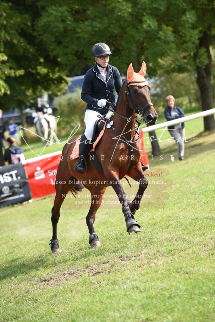 DSC_8806 | Pferde- und Turnierfotografie in Westsachsen. Pferdeportraits, Auftragszeichnungen und intuitive Kunst.