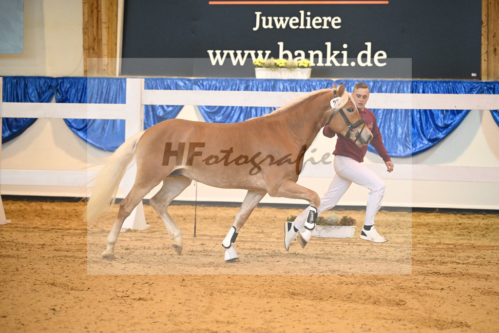 Kat-Nr. 25 San Salvador B v. Starino I_Bonitz_60220388 | hf-fotografie - Realisiert mit Pictrs.com
