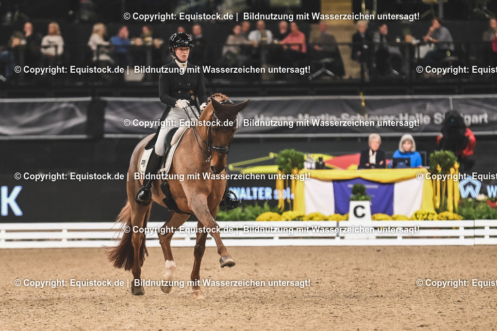 20241116_Dressur-Kür_TOMsPiC_0157 | Foto: Thomas Hartig